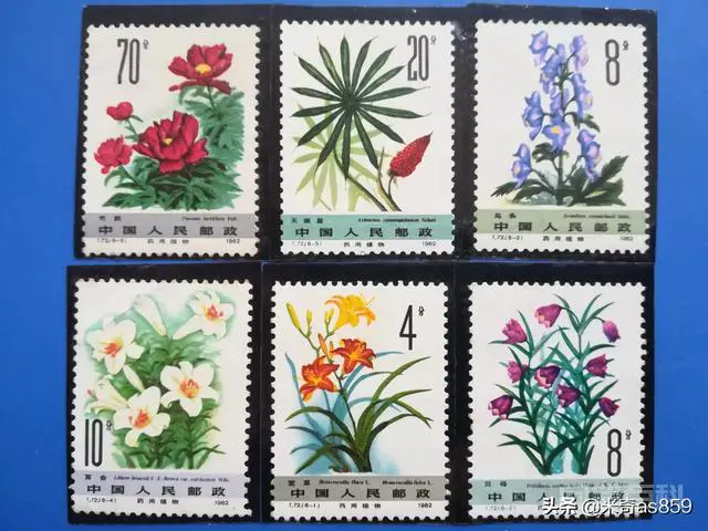 想趁着邮票低迷的时候多多积攒些邮票,获得邮票的途径有哪些?去哪买?-图片3