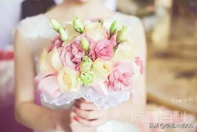 社会责任感与个人得失如何取舍?你怎么看?