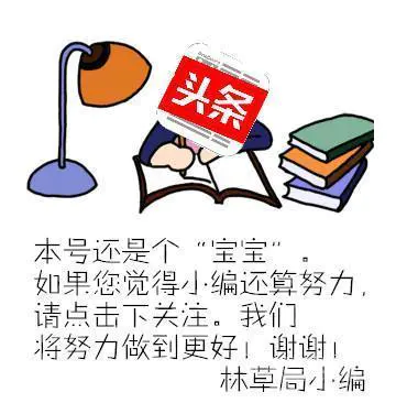 林草科普|“森林覆盖率”“林木绿化率”和“生态平衡”-图片4