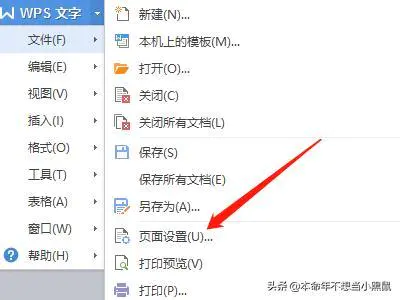 如何用Word文档(WPS)制作红头文件格式?-图片1