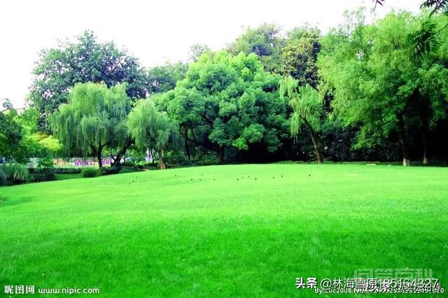 民营企业实质就是私营企业,为何不叫私营企业?-图片4