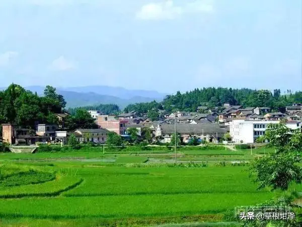 乡村振兴靠什么?-图片3