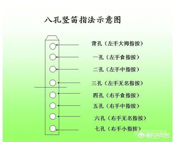 八孔竖笛教程?-图片1