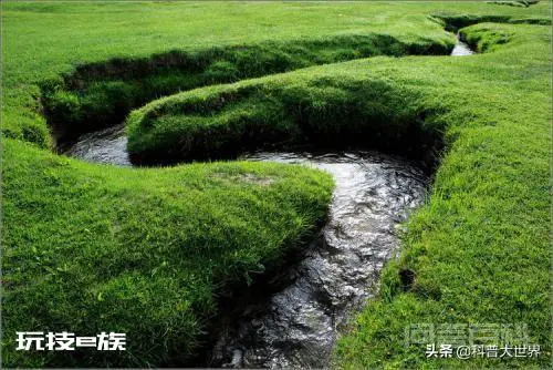 世界最大河流是亚马逊河,最小的河流是哪条?-图片7