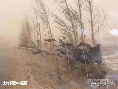 沙尘暴主要成分是什么?-图片3