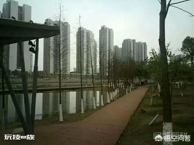 广西来宾市的房价为什么那么低?-图片2