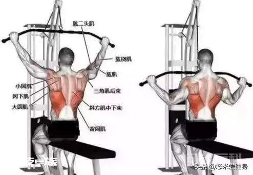 高位下拉怎么做才是标准的?-图片2