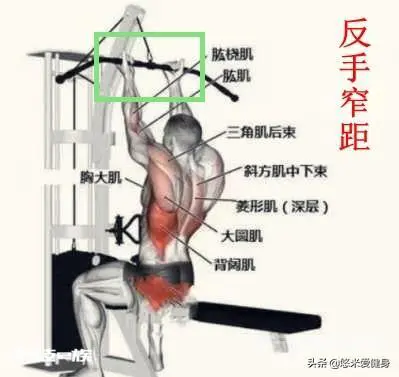 高位下拉怎么做才是标准的?-图片6