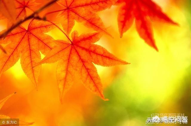 爱情到底该是相濡以沫,还是相忘于江湖?