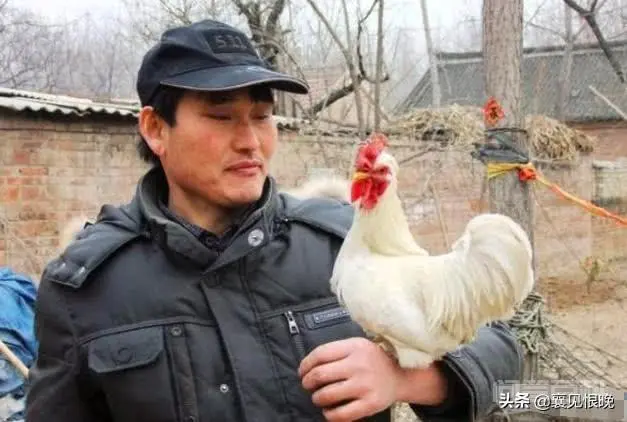 农民出来的明星有些都失去了光环,为什么朱之文还能一直走红呢?