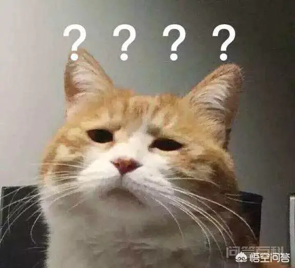 网购宠物有危险吗?