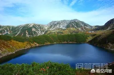 山泉水养草鱼长得慢,养什么鱼长得快?-图片1