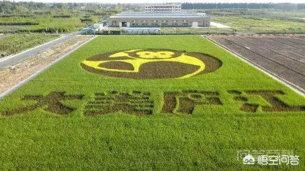 安徽庐江是合肥的南大门,未来庐江的发展潜力大吗?-图片3