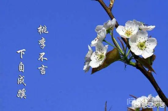 《史记》曰:桃李不言,下自成蹊。它是什么意思?有道理吗?-图片2