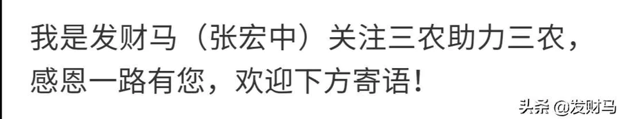 俗语:家财万贯,带毛不算,有人说搞养殖就像赌博,为什么?-图片4