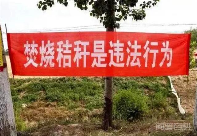 黑龙江全面禁止焚烧秸秆,那地里的秸秆该如何处理?-图片5