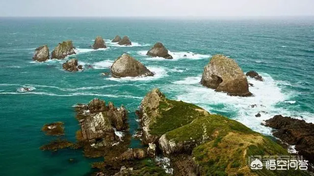 如果你独自旅游,和一个陌生异性被困荒岛,短期内无人救援,你会和对方怎样相处?-图片2