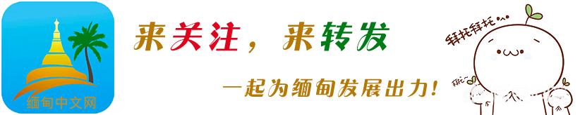 缅北少数民族武装不断与政府军发生冲突有什么历史渊源？-图片6