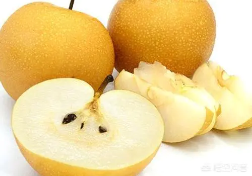 食用秋月梨对人体有什么好处?口感怎样?