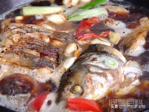 三十斤的大口鲢每天能吃多少鱼?该怎么做?-图片3