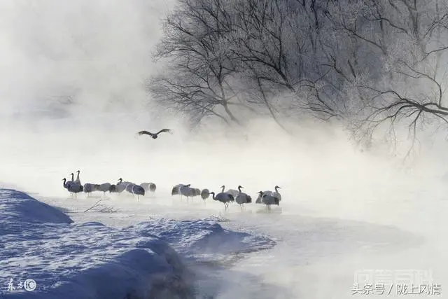 雅雪的现代诗《光》-图片1