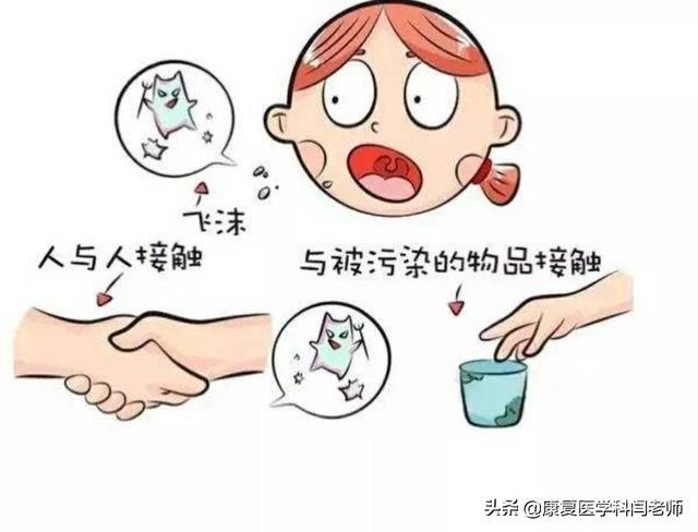 新冠肺炎到了3、4月份，蚊子会不会传染啊？-图片2