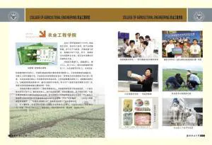 潍坊职业学院怎么样?