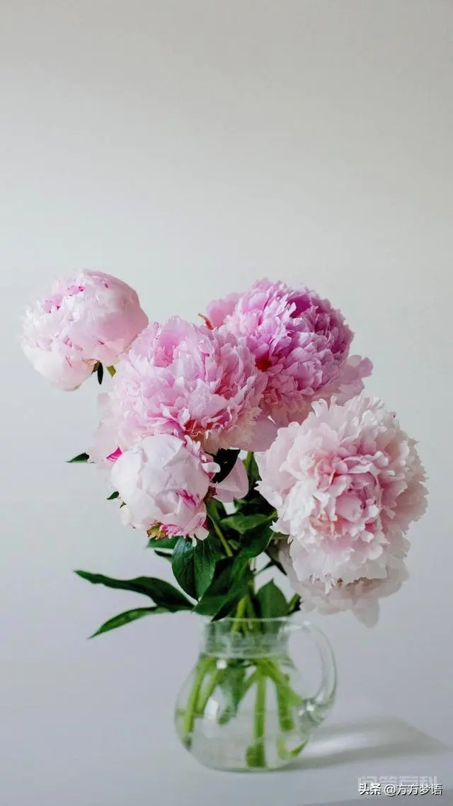 中秋节给领导送礼送什么好?-图片2