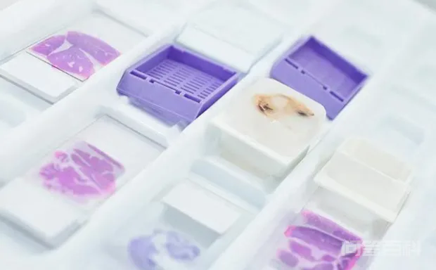 石蜡化学式是什么?