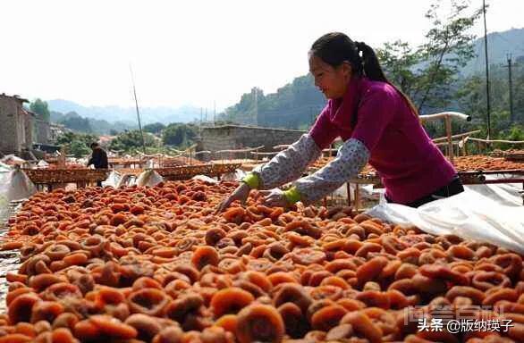 柿子怎么做柿饼?-图片12
