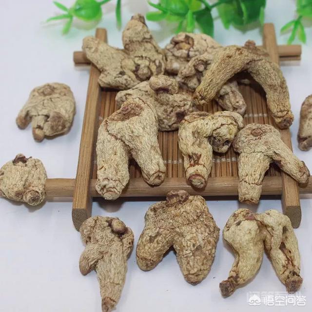 白芨在中国画中的作用是什么？-图片3