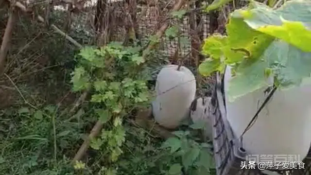 疫情还没结束,你现在感觉怎么样?-图片4