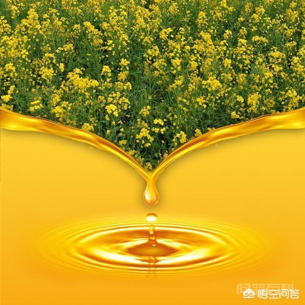 哪种食用油比较好？-图片2