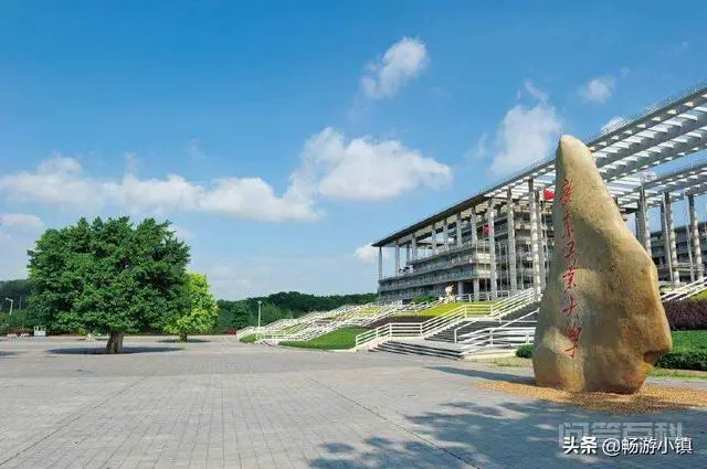 美术生,有什么好的大学推荐?-图片4