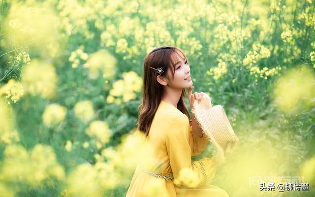 2020年入手尼康D500如何？-图片2