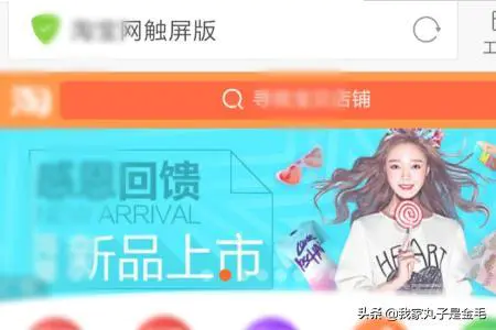手机浏览器如何浏览电脑版的网页?-图片1