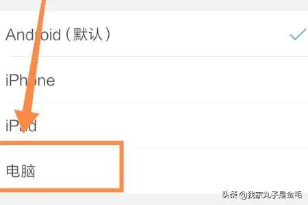 手机浏览器如何浏览电脑版的网页?-图片6