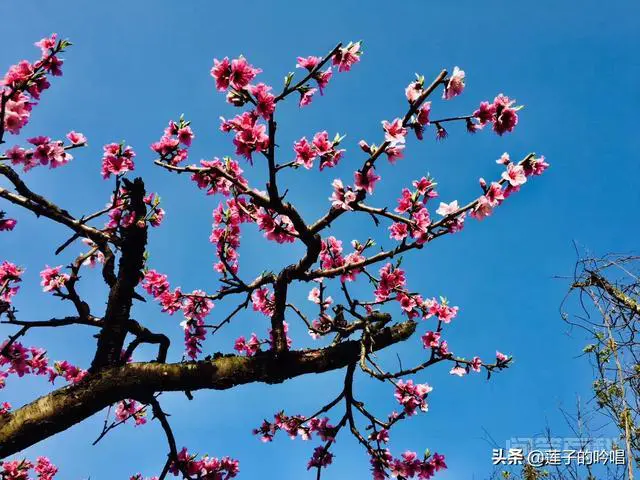 有人想对我好,为什么我会觉得难受呢?是不是我心里有问题?-图片1