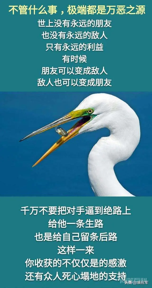 有人说人生就像斗地主,上把牌还是朋友,下把牌就成了敌人。这个比喻恰当吗?-图片3