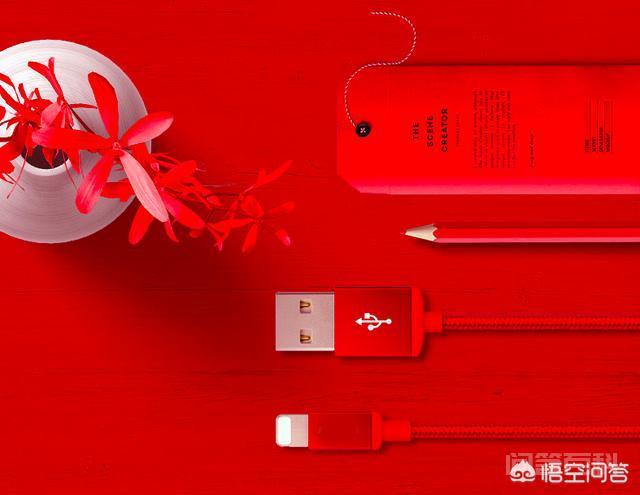 为什么USB接口不能像Lightning Dock接口一样,不分正反插入?-图片4