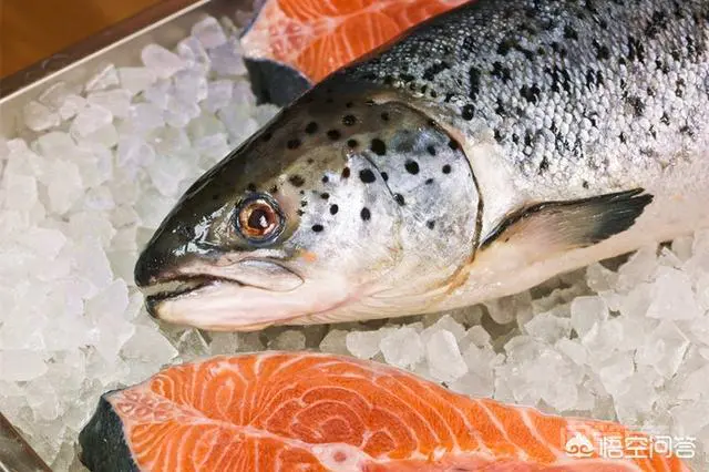 法罗群岛出产的是可以生食的真三文鱼吗?盒马鲜生销售的新西兰帝王鲑是否适合生食?-图片1