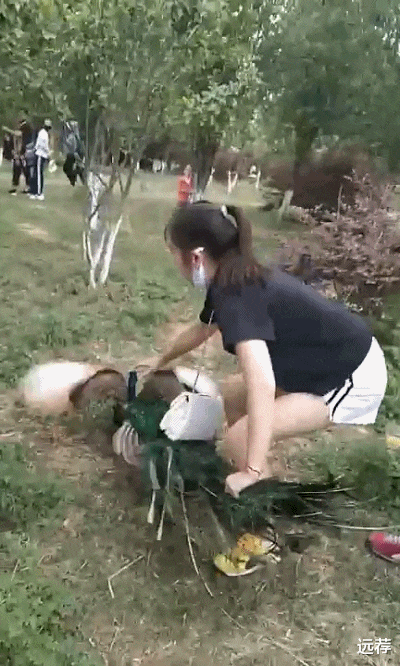 女子强抱孔雀拍照,还拔羽毛给孩子玩,孔雀惨叫连连,你有何看法?-图片3
