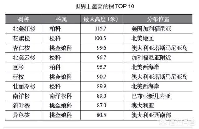 世界上最高的树有多高?-图片3