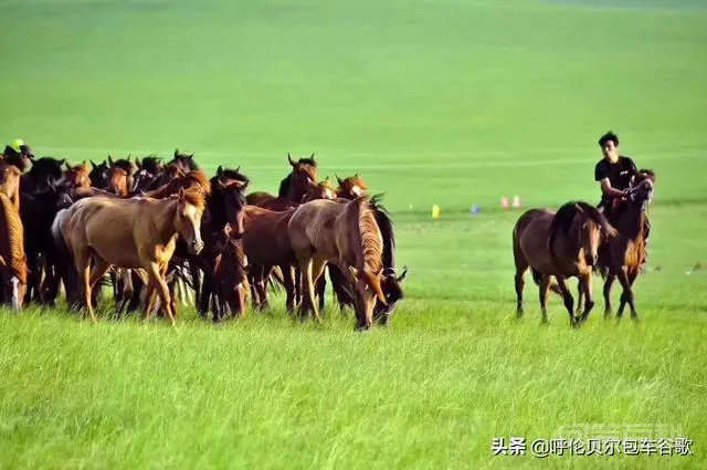很想去便宜的地方旅游,旅游淡季和旺季哪些地方价格差别最大?-图片3