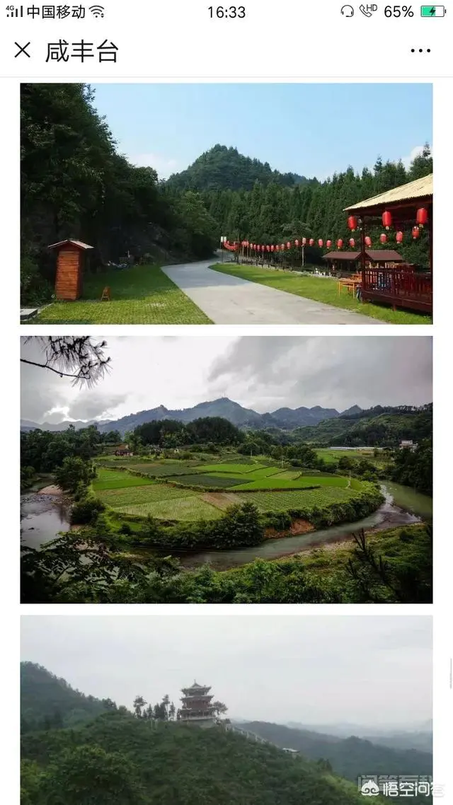 草原上能否植树造林?-图片1