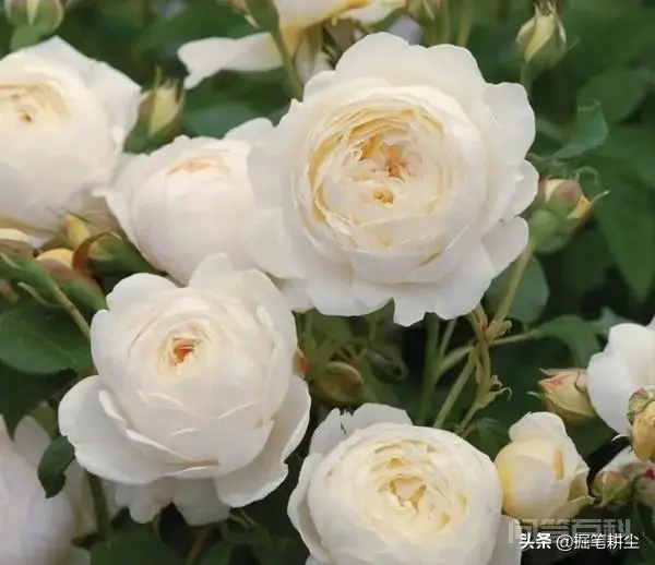 男女之间怎么样才叫有感觉?-图片3