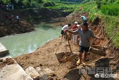 山泉水养草鱼长得慢,养什么鱼长得快?-图片2