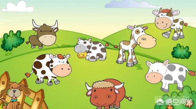 “Moo”是什么意思?-图片1