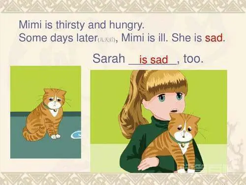sarah怎么读音-图片2