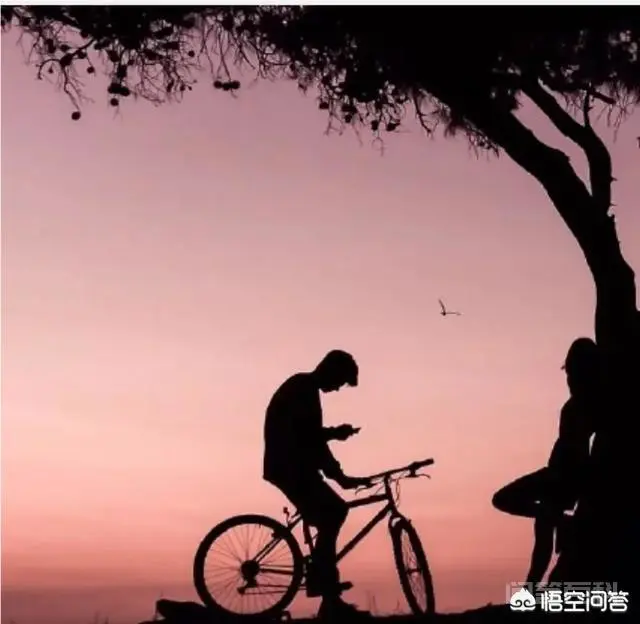 我还喜欢他,怎么挽回?-图片1